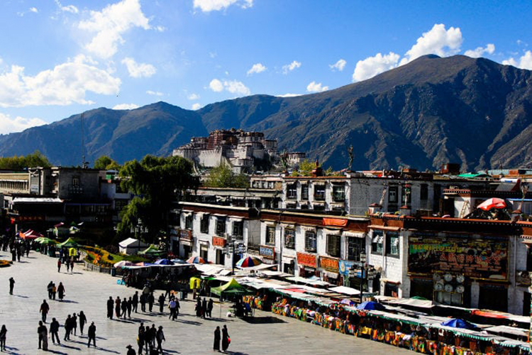 Lhasa Lhasa