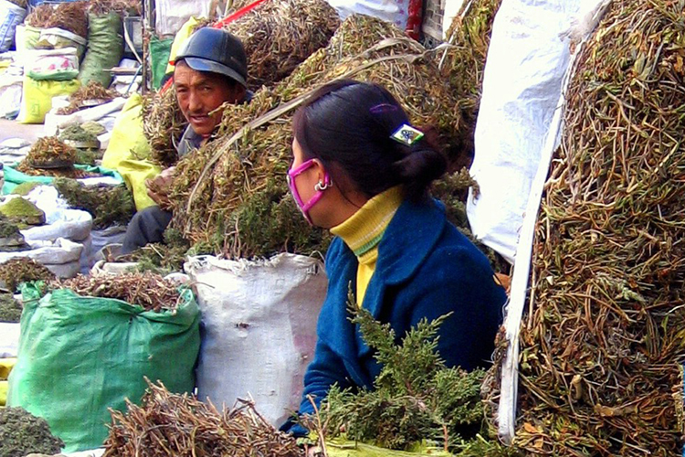 Bố Đạt La cung ở Lhasa Bố Đạt La cung